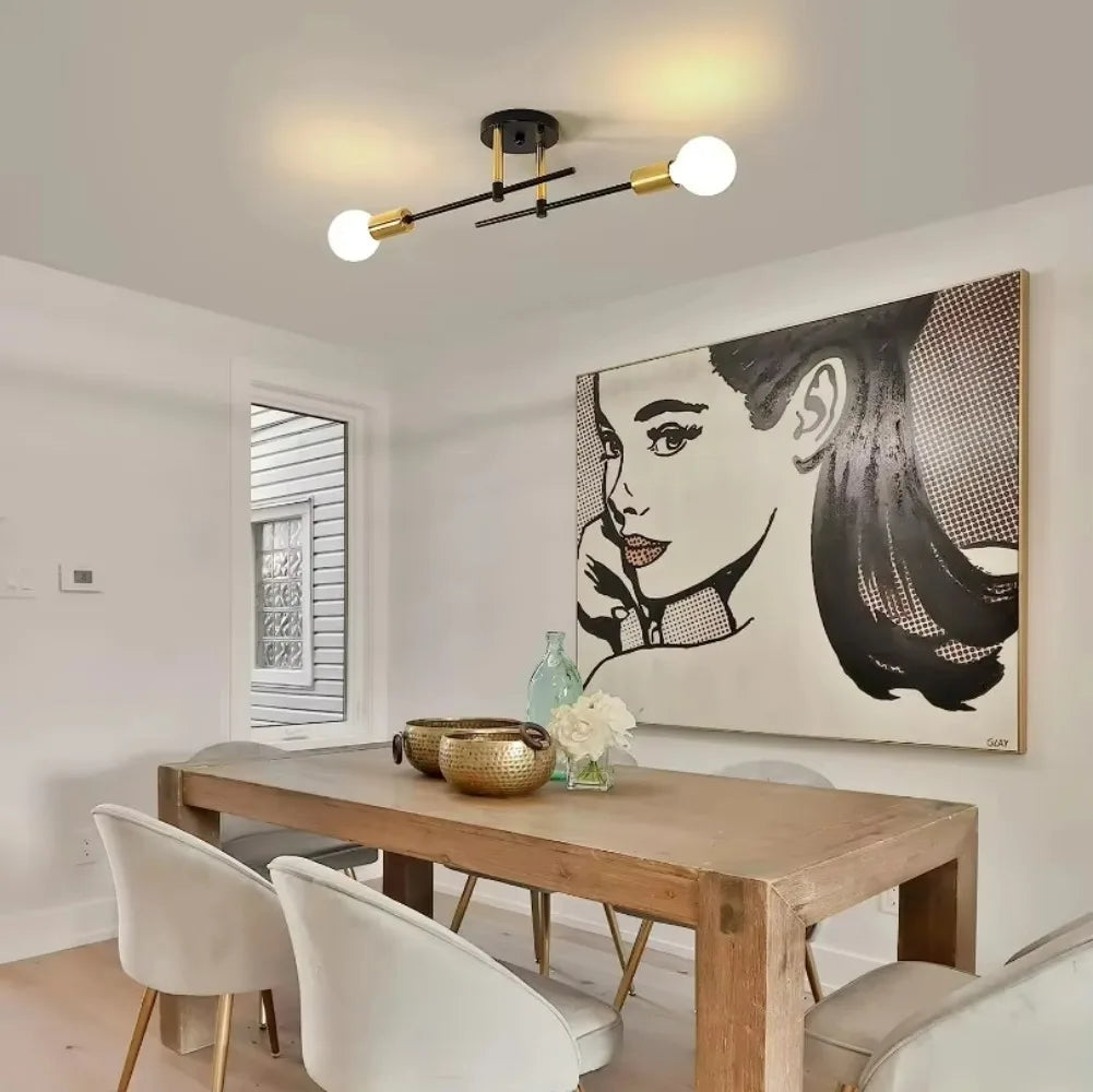 Modern 2-light Simple Decoration Chandeliers