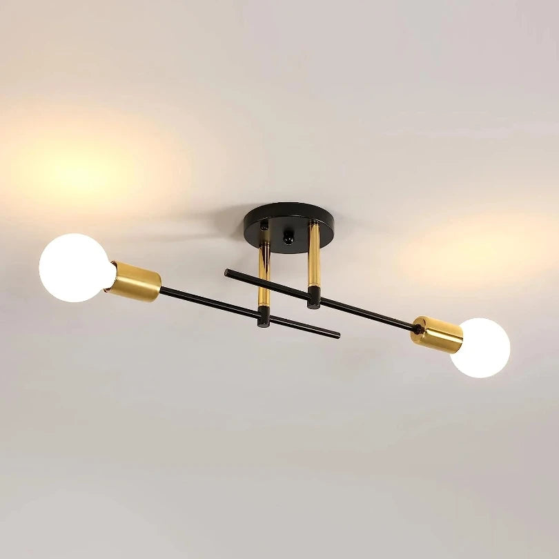 Modern 2-light Simple Decoration Chandeliers