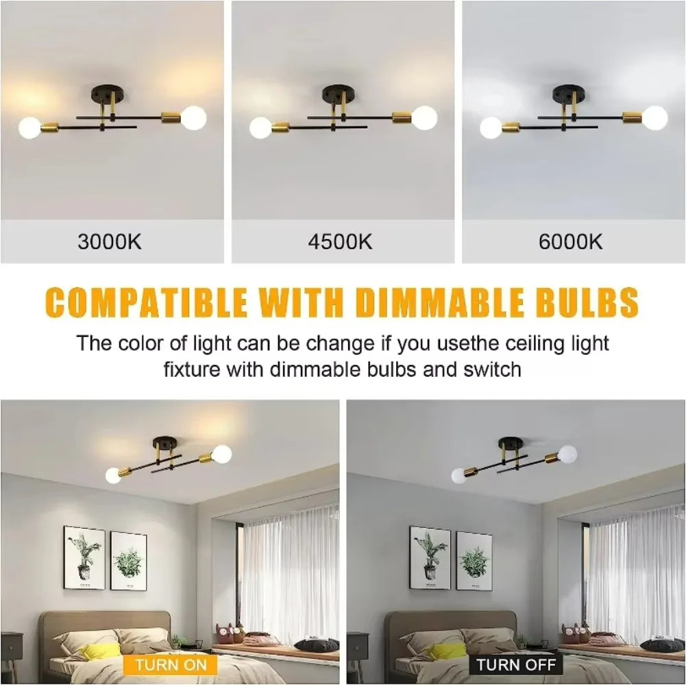 Modern 2-light Simple Decoration Chandeliers