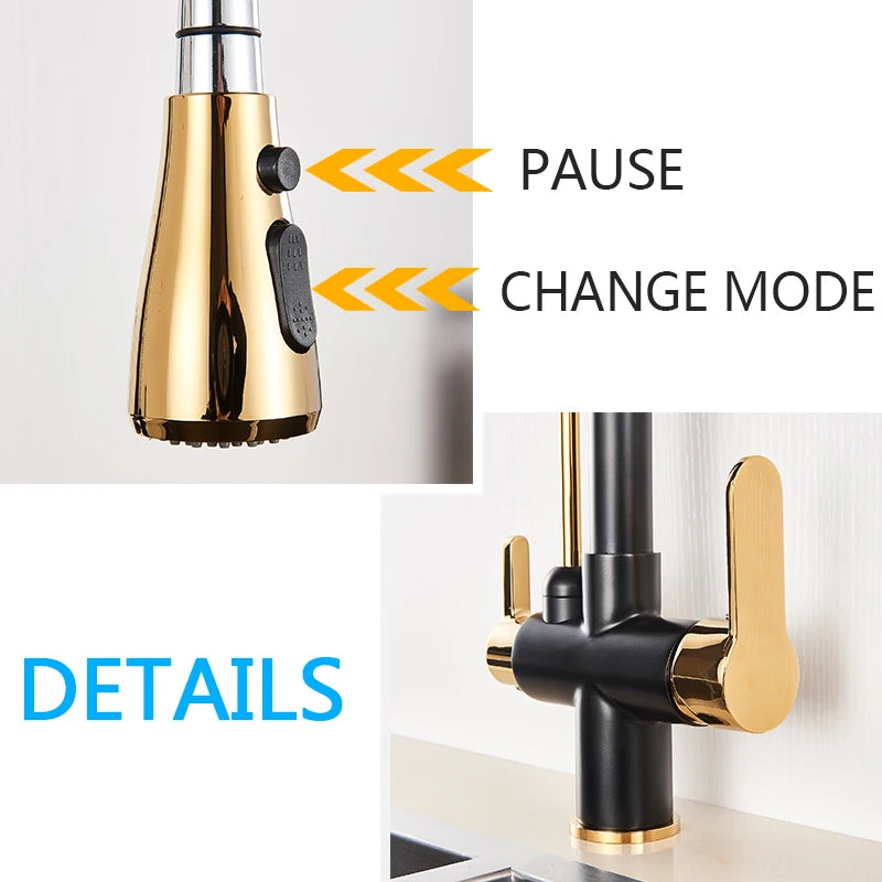 Black Gold Filter Kitchen Faucets Pure Water Rotatable Dual Spout Kitchen Faucet Dual Handles Filtered Mixer Tap For Kitchen