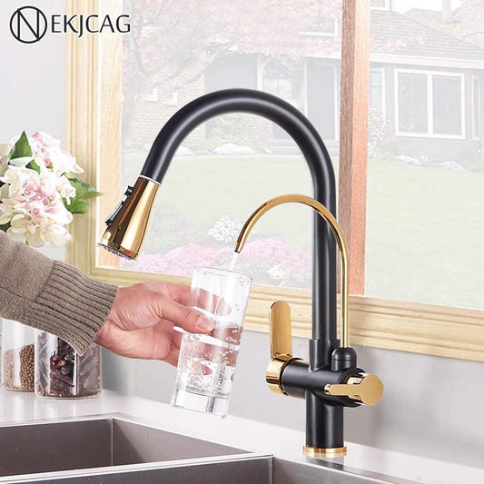 Black Gold Filter Kitchen Faucets Pure Water Rotatable Dual Spout Kitchen Faucet Dual Handles Filtered Mixer Tap For Kitchen