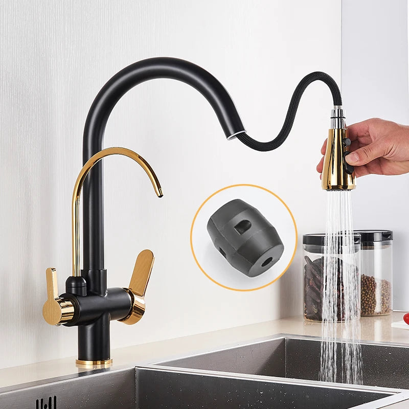 Black Gold Filter Kitchen Faucets Pure Water Rotatable Dual Spout Kitchen Faucet Dual Handles Filtered Mixer Tap For Kitchen