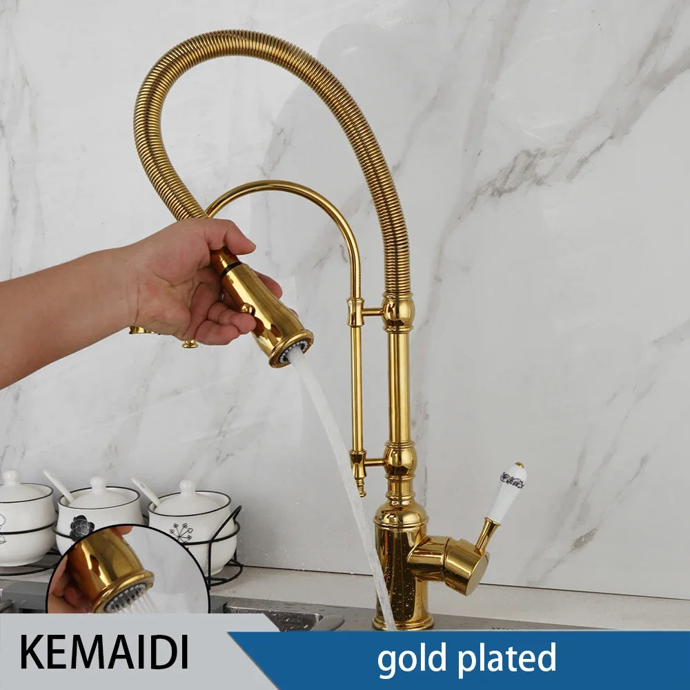 Golden Spring Pull Down Kitchen Sink Faucet Hot & Cold Mixer Crane Tap with Dual Spout Deck Mounted Hot Cold Faucets