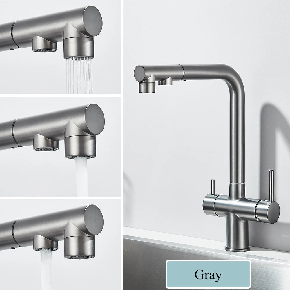 Gold Filter Kitchen Faucets Dual Spout Pull Out Kitchen Sink Water Tap Hot Cold Purification Water Crane for Kitchen