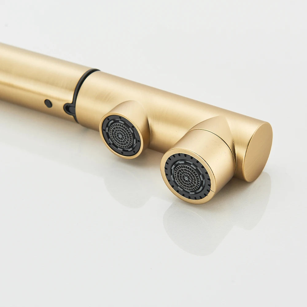 Gold Filter Kitchen Faucets Dual Spout Pull Out Kitchen Sink Water Tap Hot Cold Purification Water Crane for Kitchen