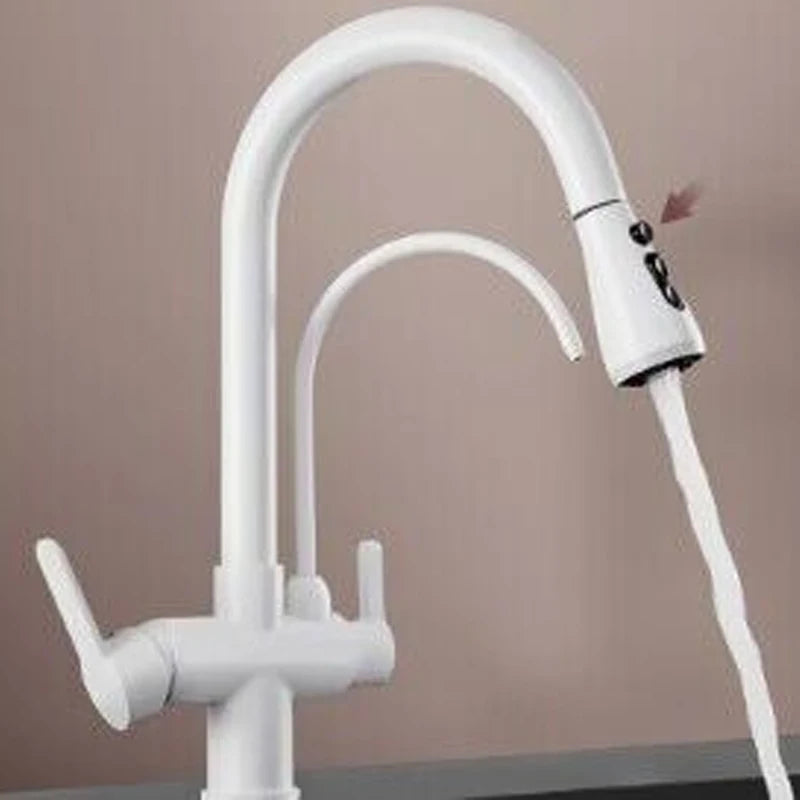 Black Gold Filter Kitchen Faucets Pure Water Rotatable Dual Spout Kitchen Faucet Dual Handles Filtered Mixer Tap For Kitchen