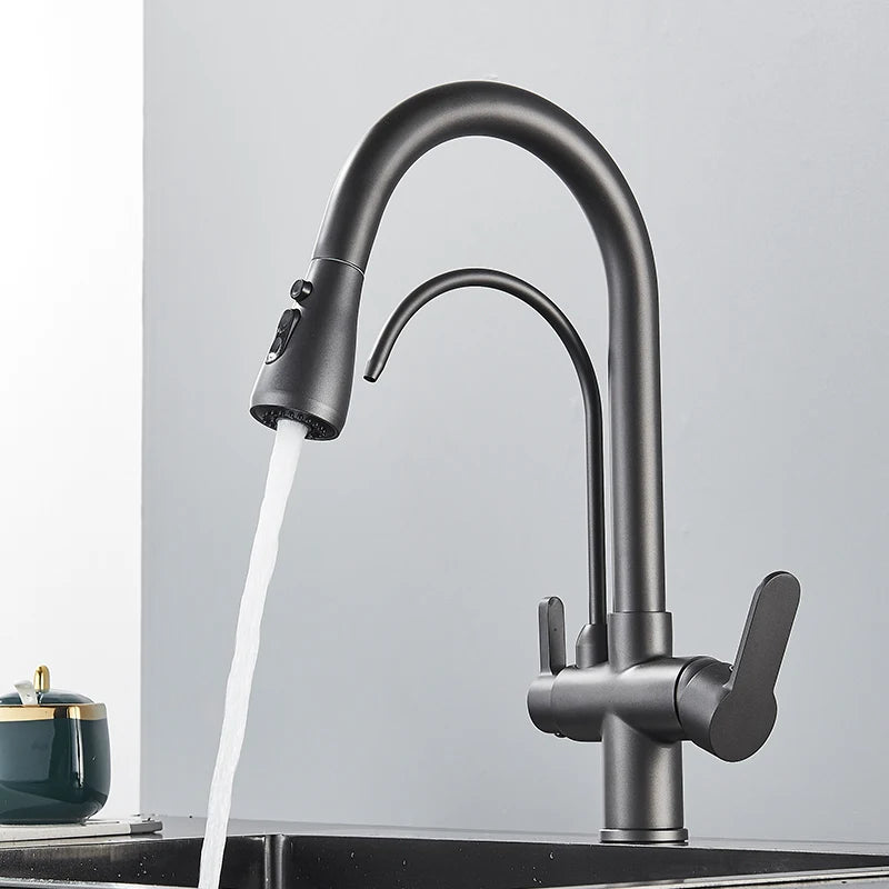 Black Gold Filter Kitchen Faucets Pure Water Rotatable Dual Spout Kitchen Faucet Dual Handles Filtered Mixer Tap For Kitchen