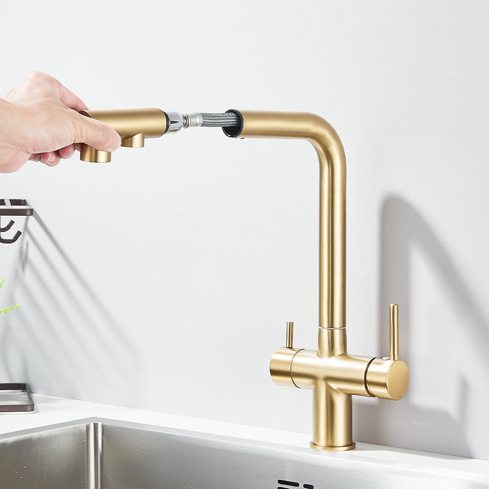 Gold Filter Kitchen Faucets Dual Spout Pull Out Kitchen Sink Water Tap Hot Cold Purification Water Crane for Kitchen