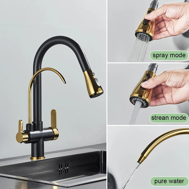 Black Gold Filter Kitchen Faucets Pure Water Rotatable Dual Spout Kitchen Faucet Dual Handles Filtered Mixer Tap For Kitchen