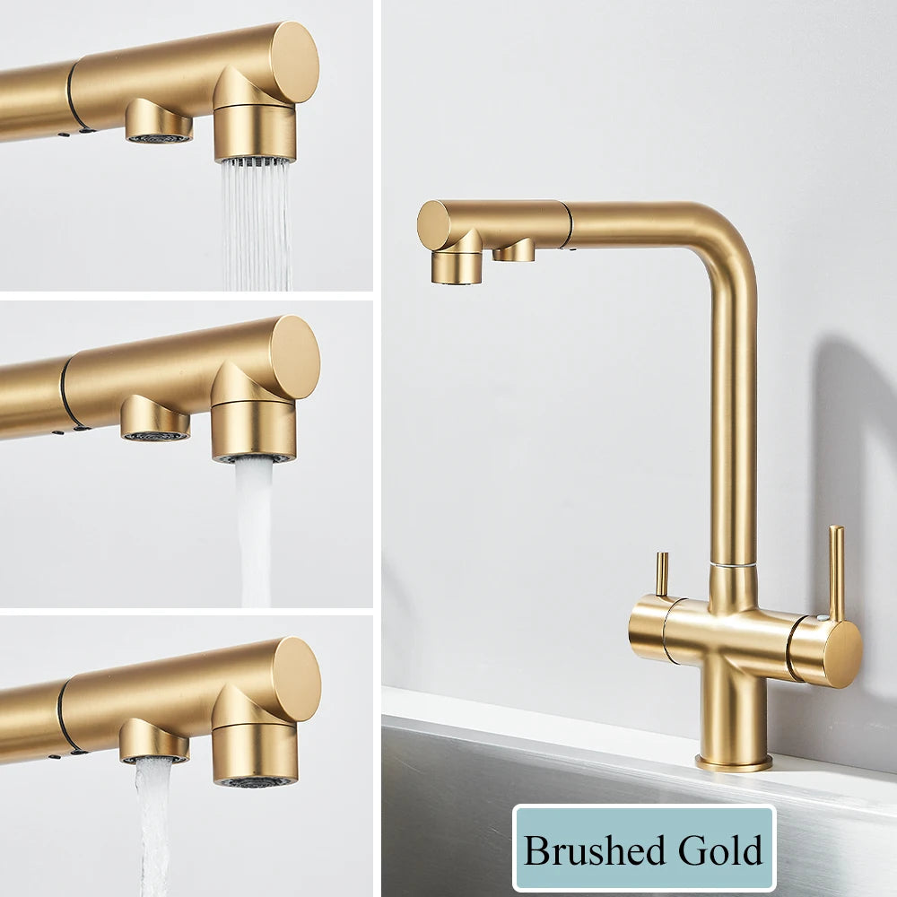 Gold Filter Kitchen Faucets Dual Spout Pull Out Kitchen Sink Water Tap Hot Cold Purification Water Crane for Kitchen