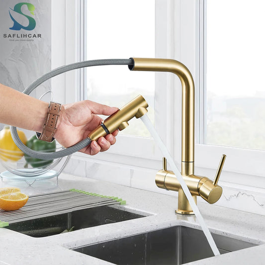 Gold Filter Kitchen Faucets Dual Spout Pull Out Kitchen Sink Water Tap Hot Cold Purification Water Crane for Kitchen