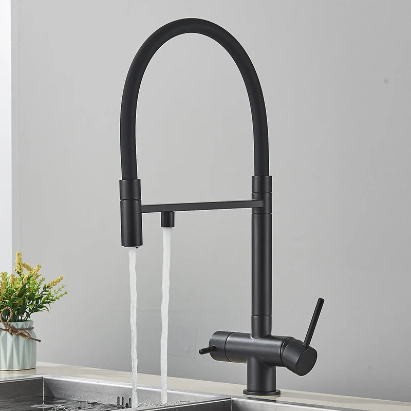 Black Filtered Kitchen Faucet Pull Out Spray Kitchen Purified Faucet 360 Rotation Filter Tap 3 Ways Sink Drink Water Faucet