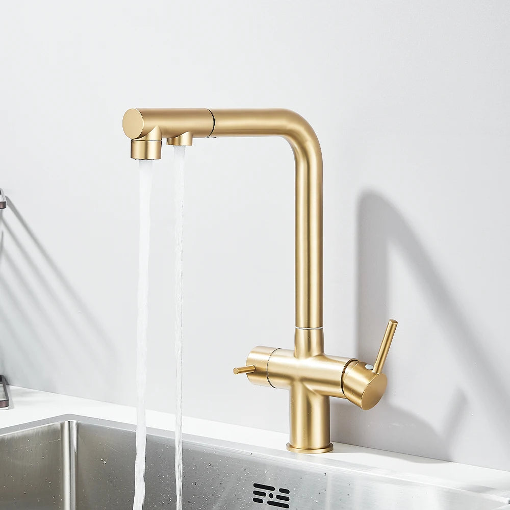 Gold Filter Kitchen Faucets Dual Spout Pull Out Kitchen Sink Water Tap Hot Cold Purification Water Crane for Kitchen