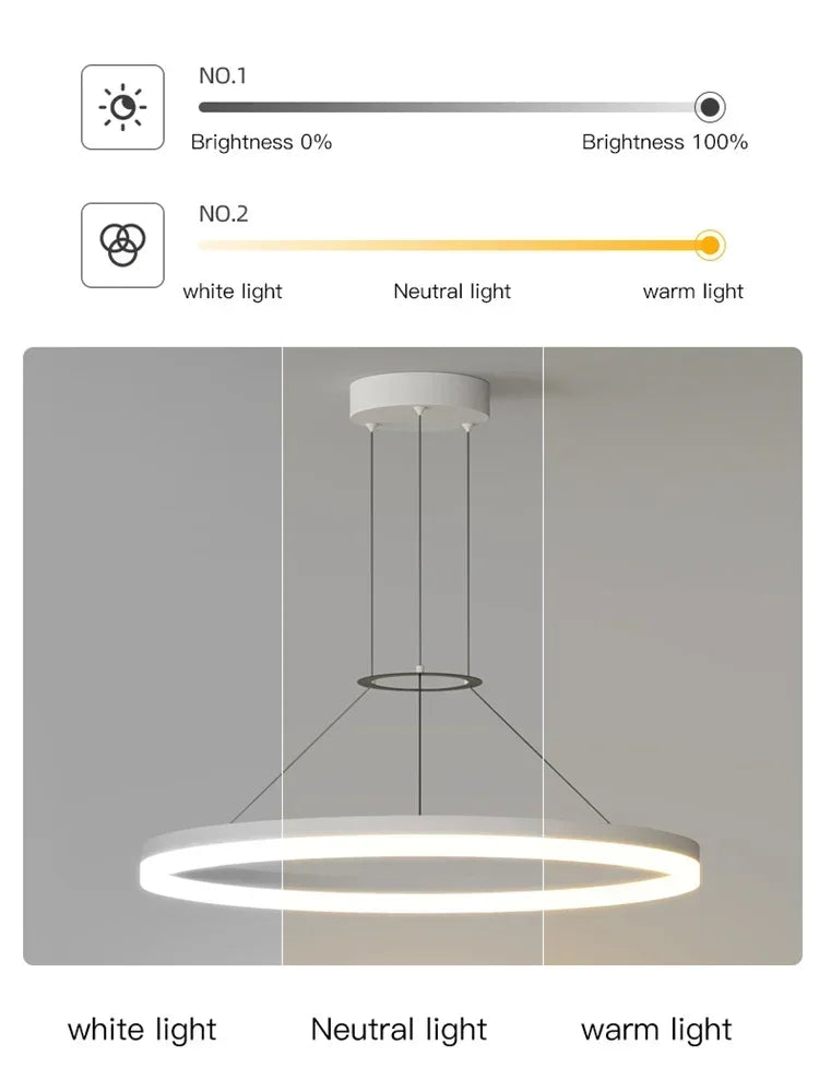 Modern Black Ring Minimalist Led Pendant Lamp
