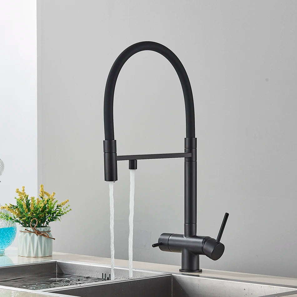 Kitchen Water Filter Faucet Dual Spout Pure Drinking Water Mixer Tap Rotation Water Purification Feature Taps Kitchen Crane