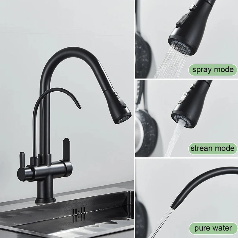 Black Gold Filter Kitchen Faucets Pure Water Rotatable Dual Spout Kitchen Faucet Dual Handles Filtered Mixer Tap For Kitchen