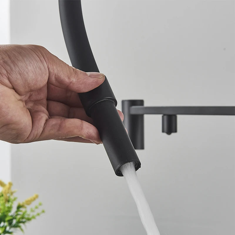Black Filtered Kitchen Faucet Pull Out Spray Kitchen Purified Faucet 360 Rotation Filter Tap 3 Ways Sink Drink Water Faucet