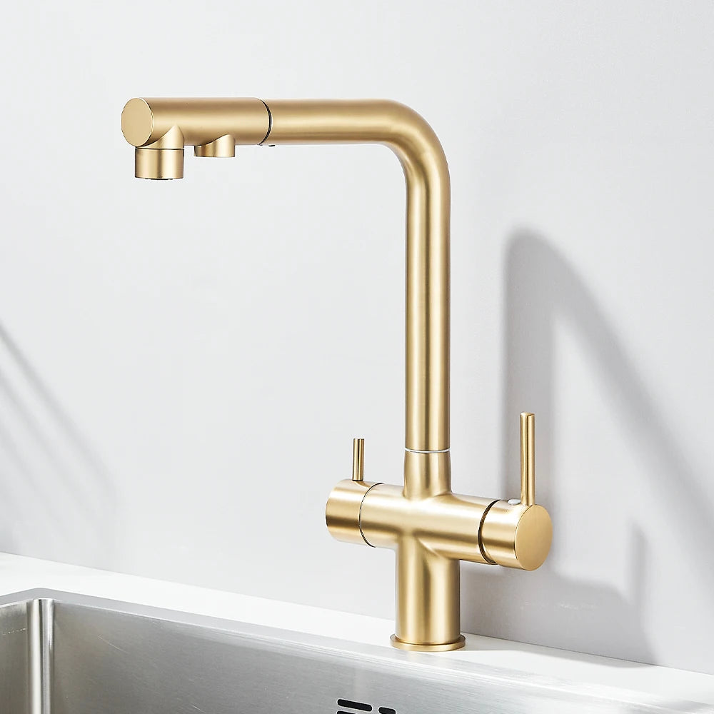 Gold Filter Kitchen Faucets Dual Spout Pull Out Kitchen Sink Water Tap Hot Cold Purification Water Crane for Kitchen