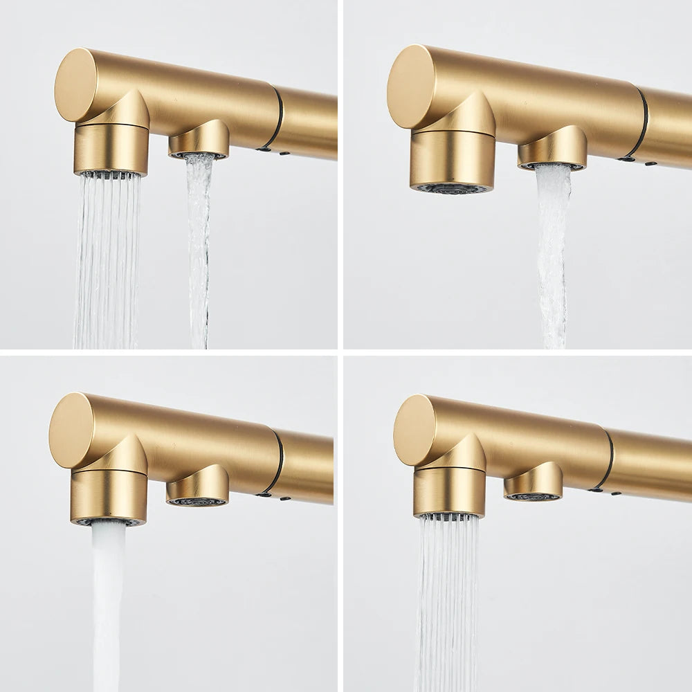 Gold Filter Kitchen Faucets Dual Spout Pull Out Kitchen Sink Water Tap Hot Cold Purification Water Crane for Kitchen