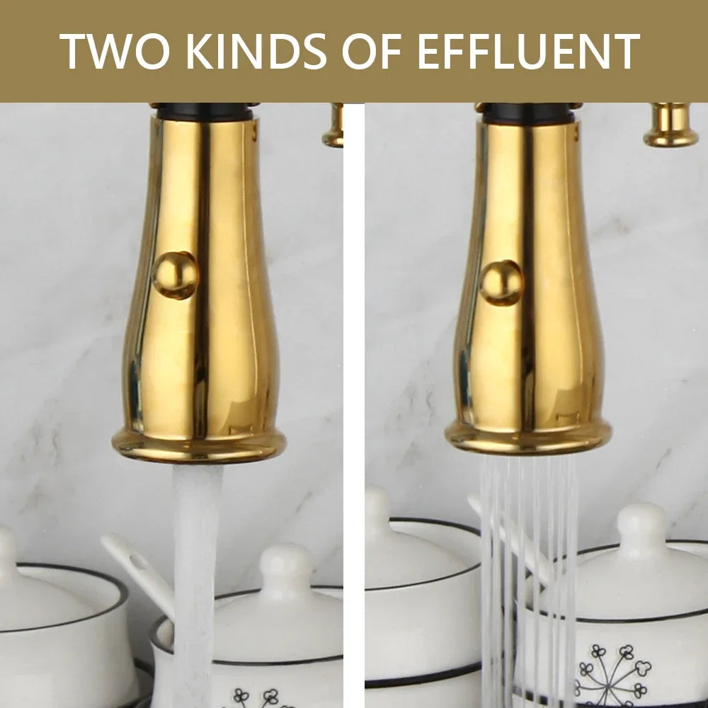 Golden Spring Pull Down Kitchen Sink Faucet Hot & Cold Mixer Crane Tap with Dual Spout Deck Mounted Hot Cold Faucets