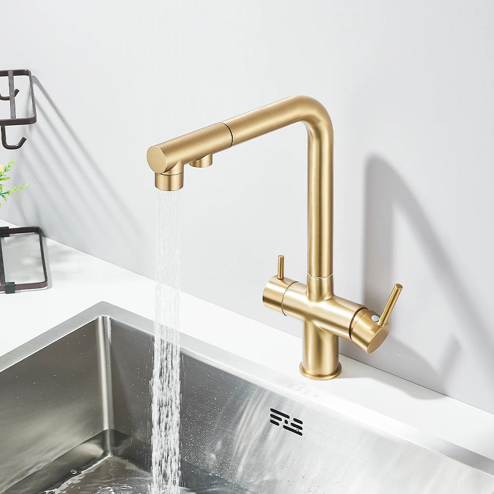 Gold Filter Kitchen Faucets Dual Spout Pull Out Kitchen Sink Water Tap Hot Cold Purification Water Crane for Kitchen